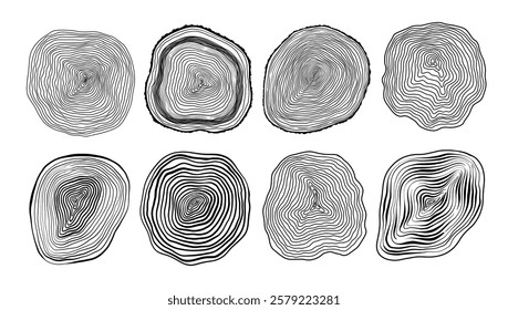 Set of linear tree stump prints isolated on white. Wooden silhouette. Wood texture with concentric rings. Black and white wooden annual rings textures. Tree ring pattern. Wood in cross section