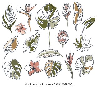 Conjunto de flores varias lineales, hojas de monstera y otras hojas. Arte blanco y negro. Silueta de contorno mínimo. Ilustración elegante decorativa para identidad de marca