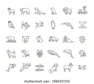 Set of linear vector Arctic animals. Vector