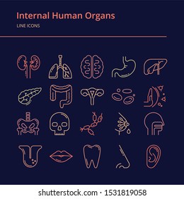 Set of linear vector colorful icons of human internal organs. Suitable for print, web, and presentations.
