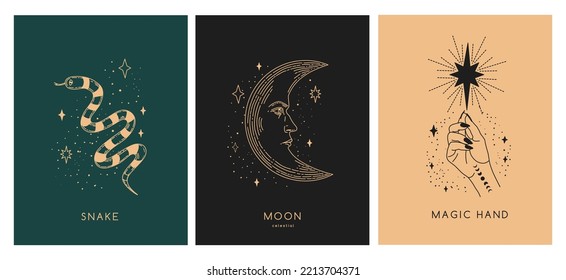 Set of linear vector illustrations. Hand drawn magical illustrations depicting moon, snake, hands. design elements for decoration in a modern style. magical drawings. mystical cards