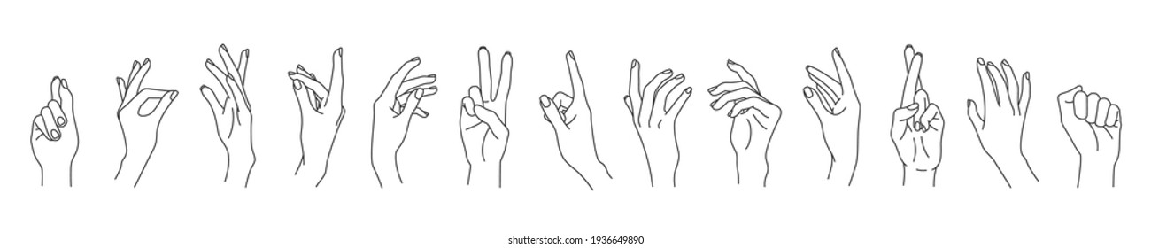 Set of linear vector woman hands isolated on white background. Female hands collection of different elegant gestures. Line art for logo design, trendy minimal style.