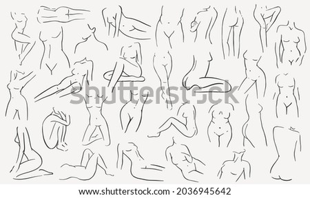 Set linear woman figure. Continuous linear silhouette of female body. Outline hand drawn of avatars girls. Linear glamour logo in minimal style for beauty salon, makeup artist, stylist