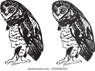 Set lineart drawing clipart bird owl graphic black on white contour sketch pen engraving style. Element for product design, print. Dark scary halloween animal. Gothic stickers occult esoteric theme