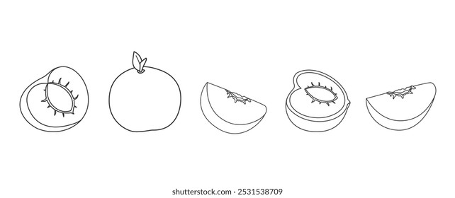 Conjunto de ícone de frutos de pêssego lineart. Desenho do contorno de pêssego inteiro, cortado, em metades de quartos