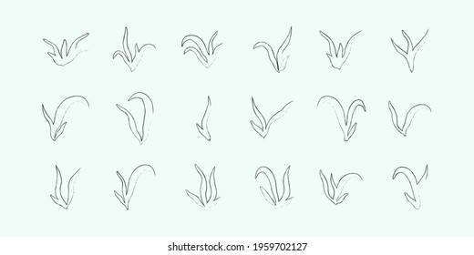 set of lineart seaweed algae aquatic water plant grass for aquarium. isolated on white vector hand drawn illustration in doodle style.