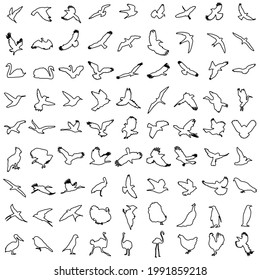 Set of lined birds silhoettes. Flying, sitting, swimming. Vector illustration.