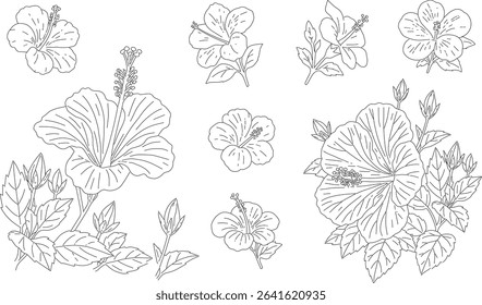 A set of line-drawn hibiscus illustrations in monochrome.
Perfect for coloring pages, botanical decorations, design accents, or summer-themed creative projects.