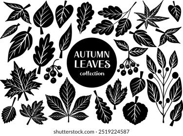 Set of linocut black autumn leaves and berries. Isolated on white background. Simple cartoon flat style. vector illustration.