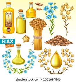 Set linseed oil, flax seeds and flowers. Isolated vector illustration.