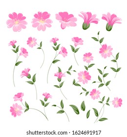 Set of linum flower elements. Collection of flax flowers on a white background. Flower isolated against white. Beautiful set of flowers. Vector illustration.