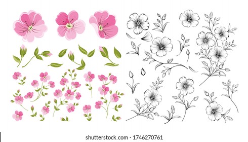 Set of linum flower elements. Collection of flax flowers on a white background. Flower isolated against white. Beautiful set of flowers. Vector illustration.