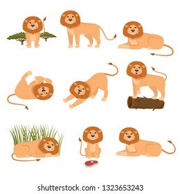 Set of lion in different actions isolated on white background