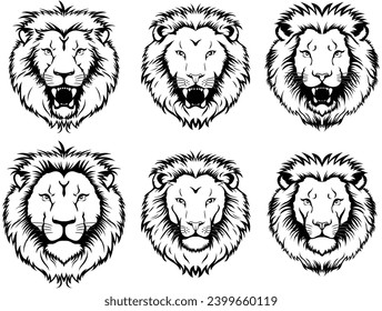 Set of lion head portrait. Wild african lion . Vector illustration