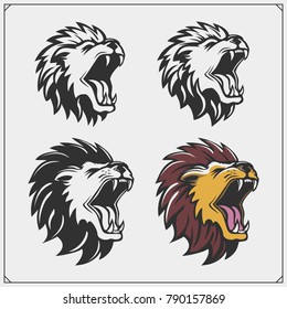 Set of lion heads.