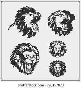 Set of lion heads.