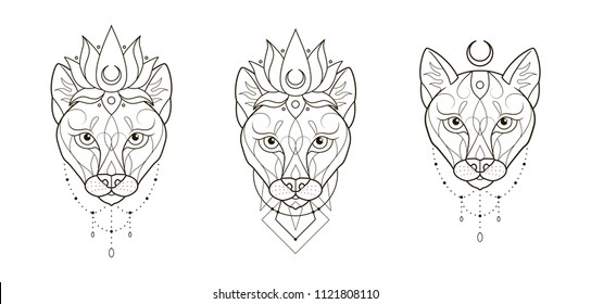 Set of Lioness head on white background. Ornamental wild cat. Graphic sketch for tattoo, poster, clothes, t-shirt design, coloring book.