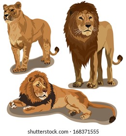 Set of lions