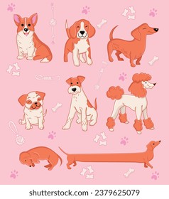 Set of little cute dogs