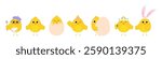 Set of little cute Easter chickens. Little chicks characters collection. Vector illustration