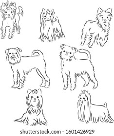 Set of little dogs, vector sketch illustration 