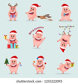Set Little funny Pig. Chinese New Year. The year of the pig.