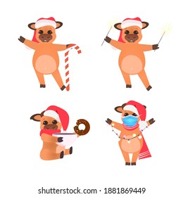 set little oxes in santa hats celebrating happy new year cute cows mascot cartoon characters collection full length vector illustration