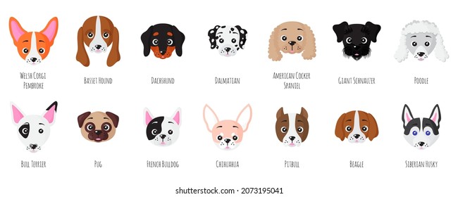 Set of little puppy dogs face of different breeds. Vector cartoon isolated illustration.