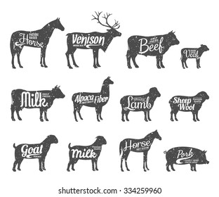 Set of livestock labels templates. Farm animal icons