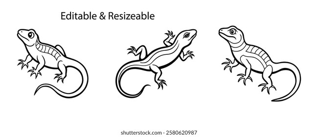 Set of lizard, lizard design, vector art of lizards, reptile vector, lizard vector illustration, reptile illustration