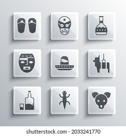 Set Lizard, Dog, Pinata, Mexican sombrero, Tequila bottle and glass, Aztec mask, Flip flops and  icon. Vector