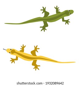 Set of lizard green and yellow with tongue