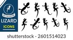 Set of lizard icon, Salamander silhouette on white background. Lizard icon vector, Gecko vector Silhouette. Vector illustration.