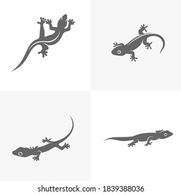 Set of Lizard logo design vector template, Illustration design Lizard, Symbol Icon