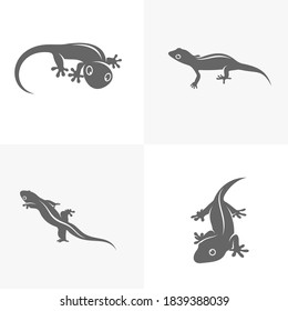 Set of Lizard logo design vector template, Illustration design Lizard, Symbol Icon