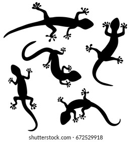 Set of lizard, salamader, gecko sillhouette on white background. Top view. Vector illustration