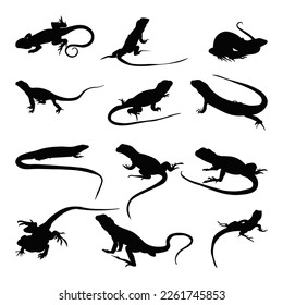 Establecer la ilustración vectorial de silueta de lagarto.