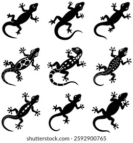 Set of lizard silhouettes vector