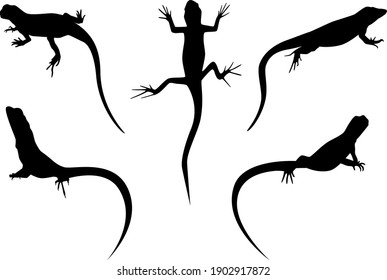 set of lizards black silhouette