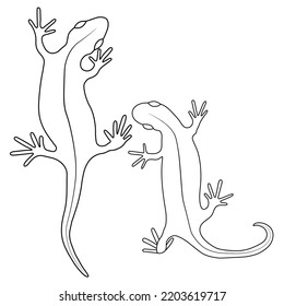 Eine Reihe von Eidechsen reptilieren Gecko-Umriss Vektorgrafik. Einfache Kunstillustration einzeln auf weißem Hintergrund. Vorlage für Bücher, Aufkleber, Poster, Karten, Kleidung.