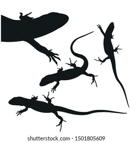 Set of lizards silhouettes in various poses. Vector illustration isolated on white background