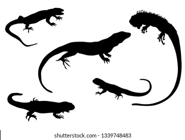 Set of Lizards silhouettes, vector illustration isolated on white background.