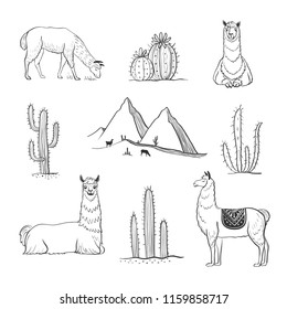 A set of llamas and cacti. Stylish vector graphics on a white background