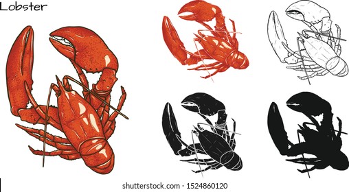 Set of lobster by hand drawing.Lobster vector silhouette on white background.Shrimp art highly detailed in line art style.Animal pictures for coloring.