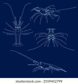 Set lobster contour vector blue background