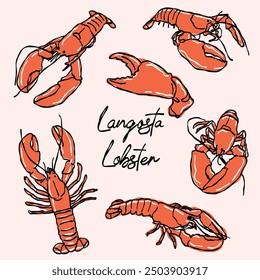 Set of lobster illustrations, doodle style line art