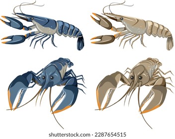 Set of Lobster Isolated illustration