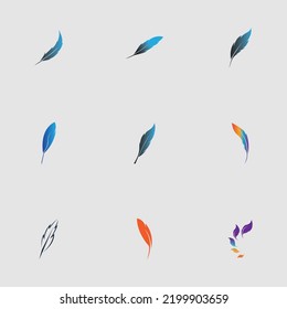 set of logo of feather vector illustration design on gray background