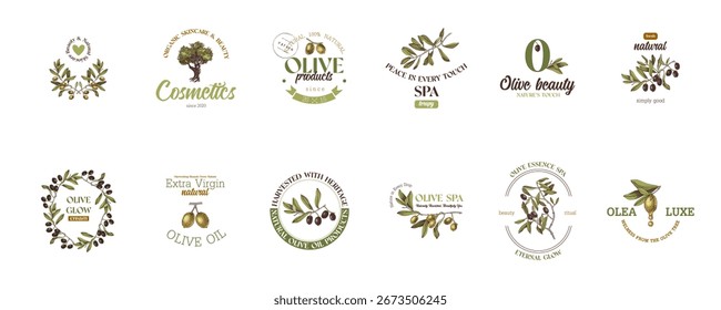 Set of logo templates with olives