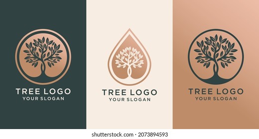 set of logo tree and Drops or water combined with tree. logo design Premium Vector